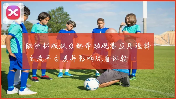 欧洲杯版权分配牵动观赛应用选择 主流平台差异影响观看体验