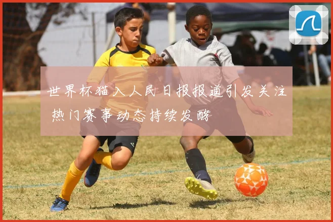 世界杯猫入人民日报报道引发关注 热门赛事动态持续发酵