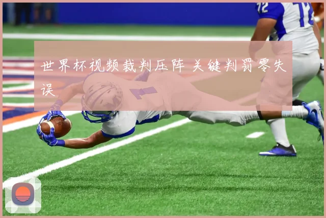 世界杯视频裁判压阵 关键判罚零失误